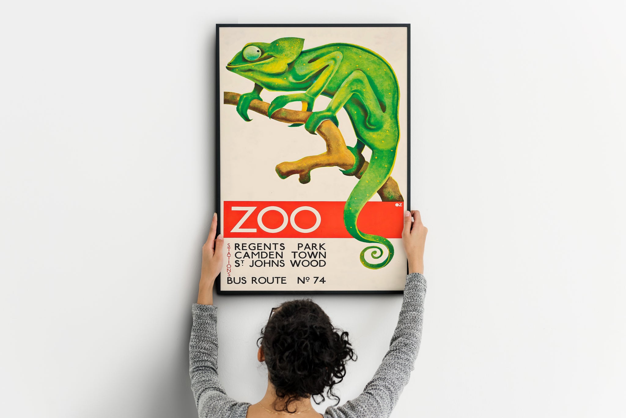 Large chameleon poster for a blank wall that needs character