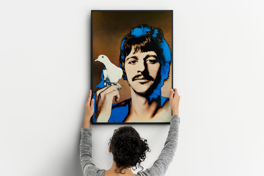 Person hanging a large Ringo Starr pop-art poster with a white dove on a white wall